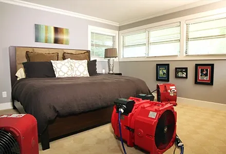 Bed Bug Heat Treatment: The Chemical-Free Solution for Complete Eradication
