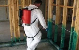 Why Pests Thrive in RAK&rsquo;s Summer Humidity