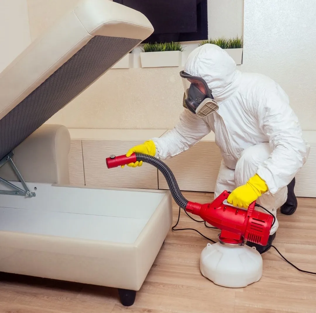 Holiday Season Pest Risks for RAK Hotels & Resorts