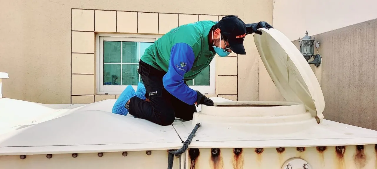 Deep Cleaning vs Pest Control: Understanding the Difference for RAK Properties