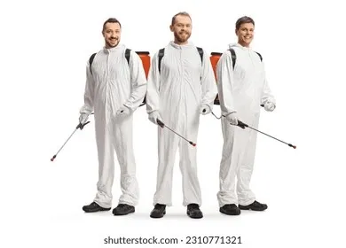 How to Choose the Right Pest Control Company