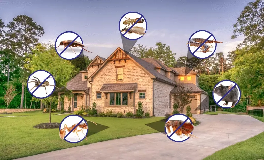 Villa Garden Pest Control in RAK: Protecting Your Outdoor Space